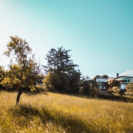 Bed & Breakfast Unter Den Linden Hungen ภายนอก รูปภาพ