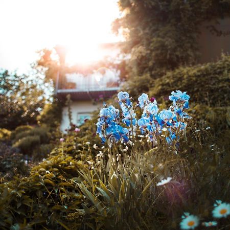 Bed & Breakfast Unter Den Linden Hungen ภายนอก รูปภาพ