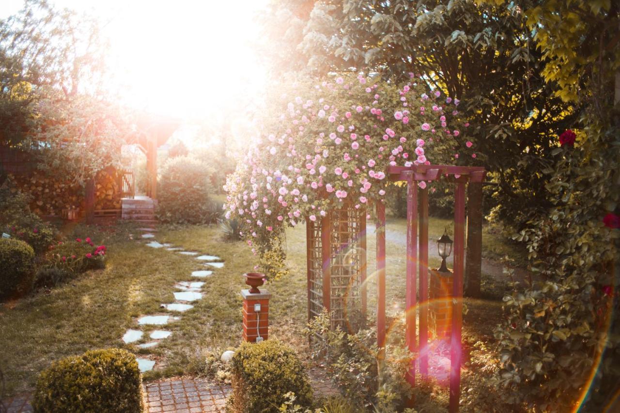 Bed & Breakfast Unter Den Linden Hungen ภายนอก รูปภาพ