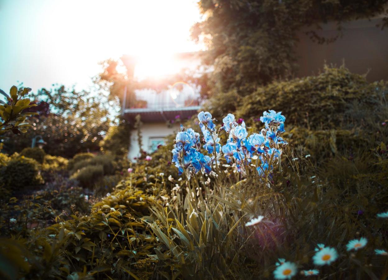 Bed & Breakfast Unter Den Linden Hungen ภายนอก รูปภาพ